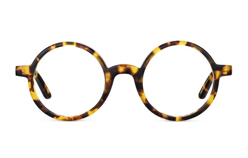 Vasuma - Gevone Tortoise
