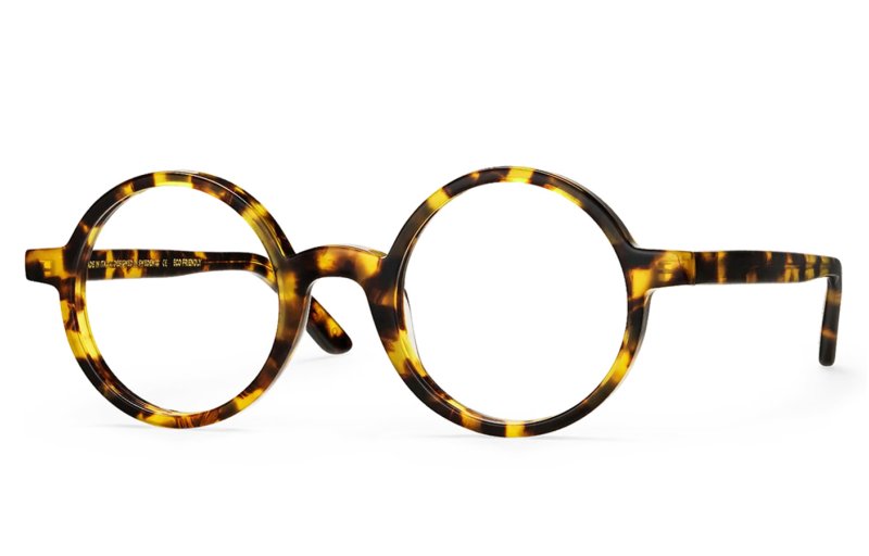 Vasuma - Gevone Tortoise