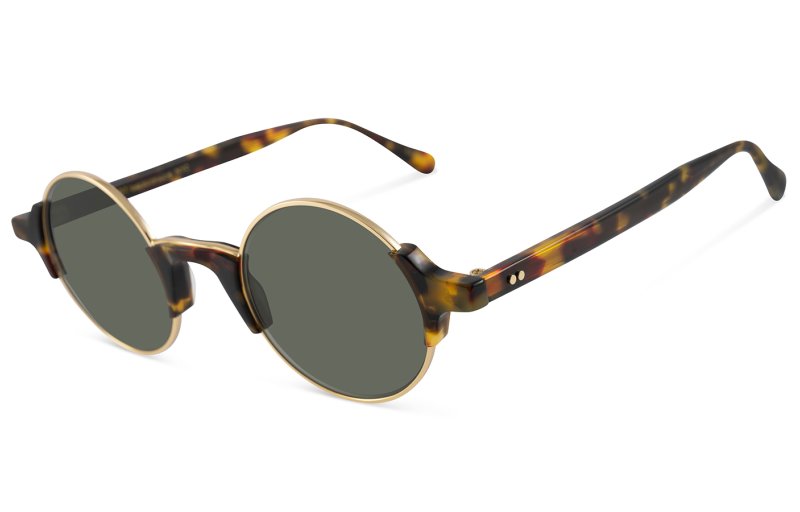 Moscot - Dibbik sun Tortoise 