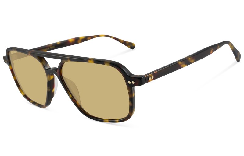 Moscot - Minyan sun Tortoise